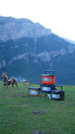 کول باکس ۱۵ لیتری Life Camp