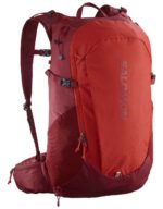 کوله‌پشتی سالامون تریل بلیزر ۲۰ لیتر Salomon trailblazer 20lit
