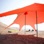 استارتنت دوپايه يا دبل ديلور